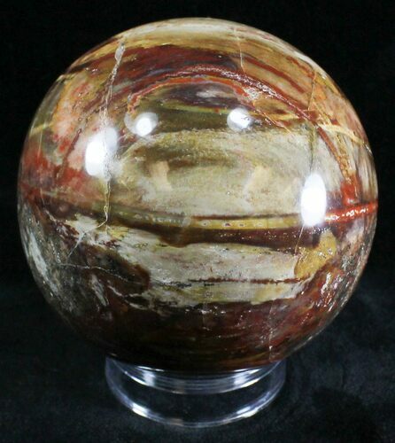 Colorful Petrified Wood Sphere #29000